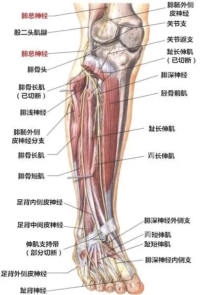图片1.png 图片1.png
